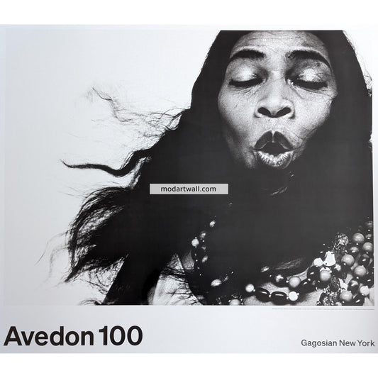 Avedon 100 original exhibition poster